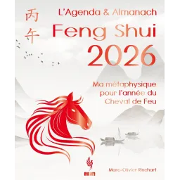 Ma métaphysique pour l'année du Cheval de Feu 2026 - Feng Shui, BaZi, Yi Jing, Qi Men Dun Jia