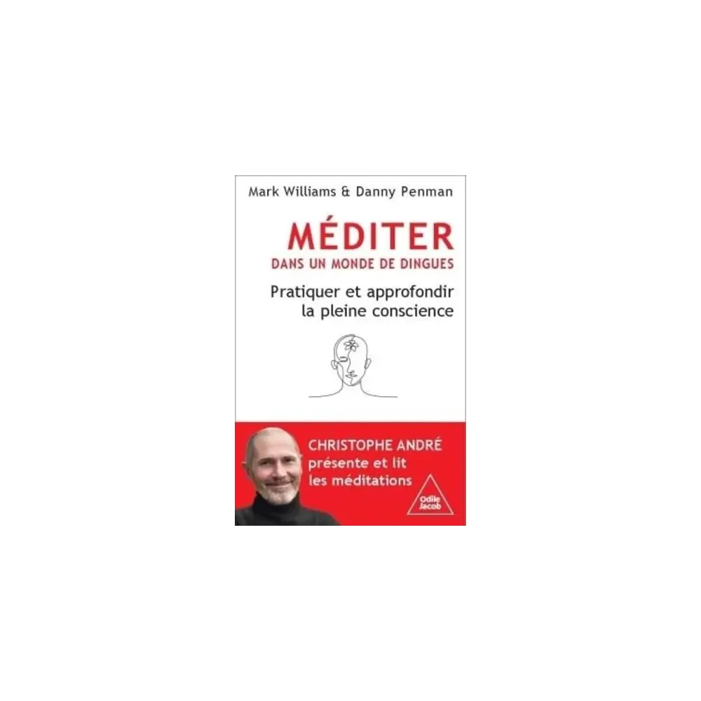 Méditer dans un monde de dingues: Pratiquer et approfondir la pleine conscience