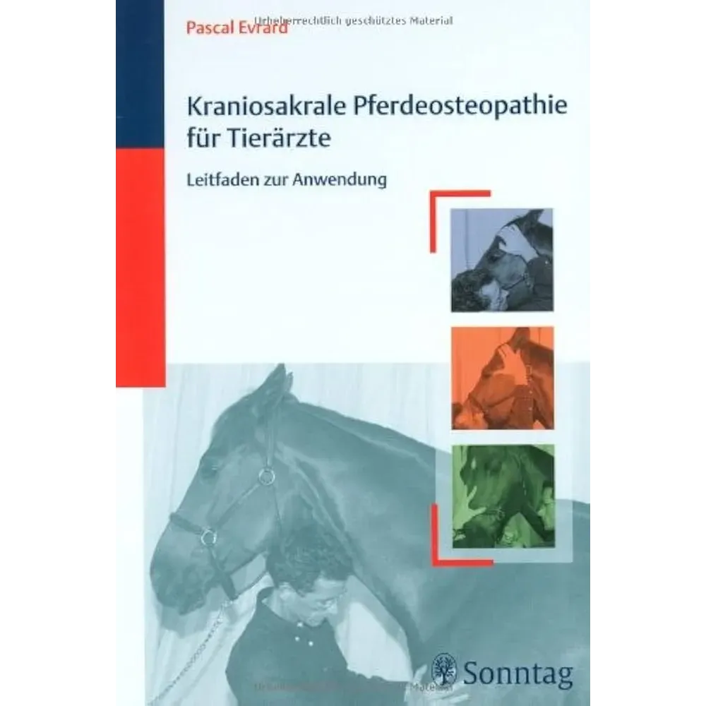 Kraniosakrale Pferdeosteopathie für Tierärzte