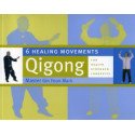 6 Healing Movements Qigong