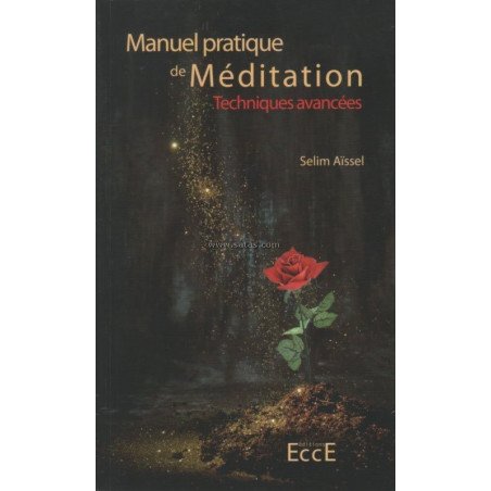 Manuel pratique de Méditation - Tome 2, Techniques avan