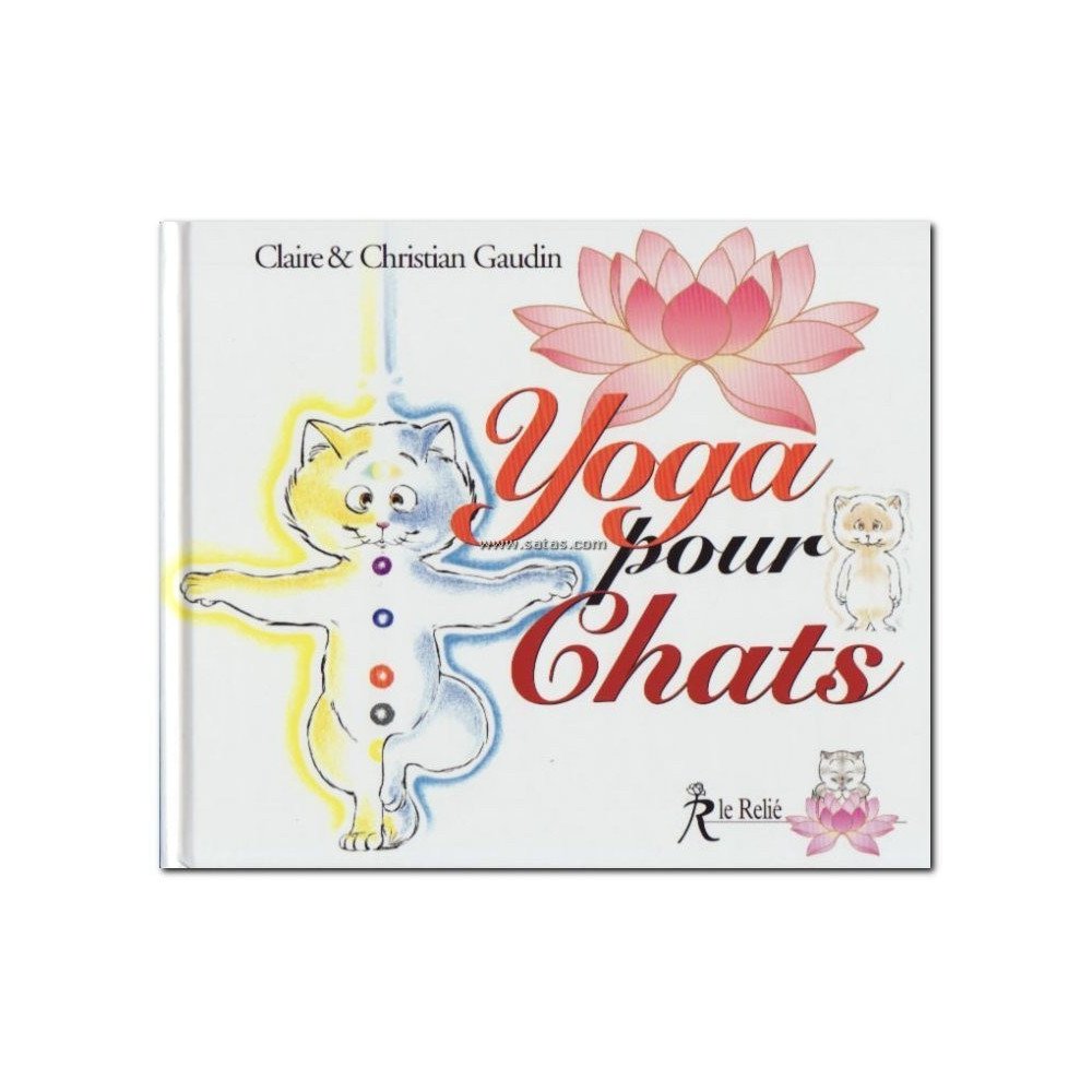 Yoga pour chats