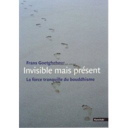 INVISIBLE MAIS PRESENT