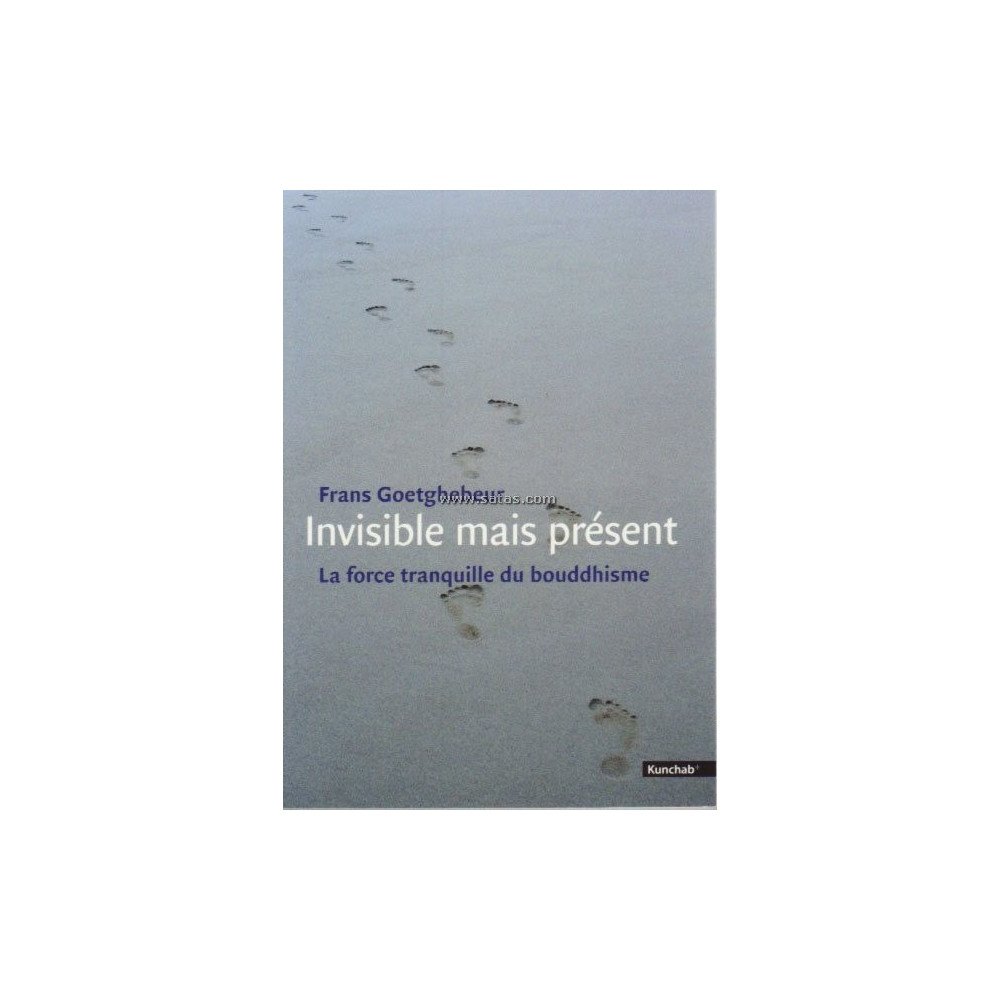 Invisible mais présent - La force tranquille du bouddhi Invisible mais présent - La force tranquille du bouddhi