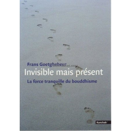 Invisible mais présent - La force tranquille du bouddhi