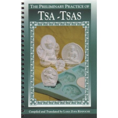 The Preliminary Practice of TSA -TSAS