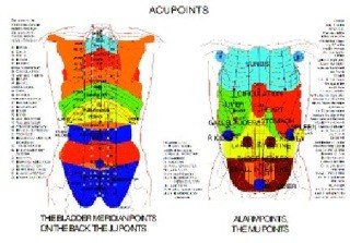 Acupuncture Hand Chart