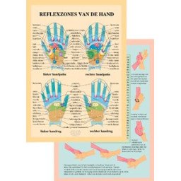 Reflexzones van de hand  (Poster 16x24)