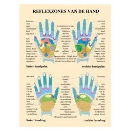 Reflexzones van de hand (Poster A3)