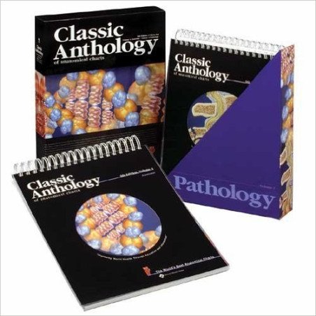 Classic Anthology of anatomical charts  6th Edition  Volume 1: Anatomy