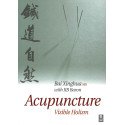 Acupuncture, Visible Holism - An original interpretation of acupuncture from Root to Tip