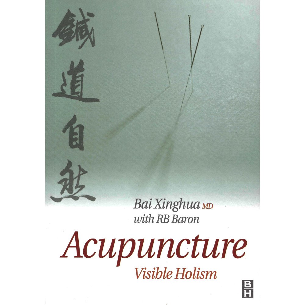 Acupuncture, Visible Holism - An original interpretation of acupunctur