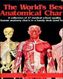 The World S Best Anatomical Chart Series