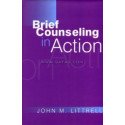 BRIEF COUNCELLING IN ACTION    BOOK HC