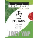Bazi profilage - Les 10 Maîtres du jour - Bing Feu Yang