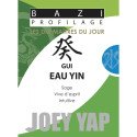 Bazi profilage - Les 10 Maîtres du jour - Gui Eau Yin
