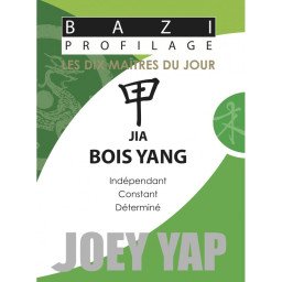 Bazi profilage - Les 10 Maîtres du jour - Jia Bois Yang