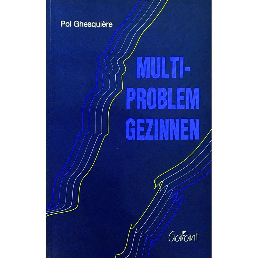 Multi-problem gezinnen