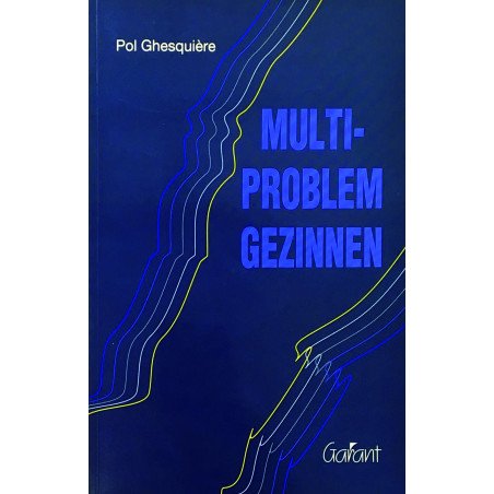 Multi-problem gezinnen