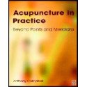 Acupuncture in Practice. Beyond Points and Meridians