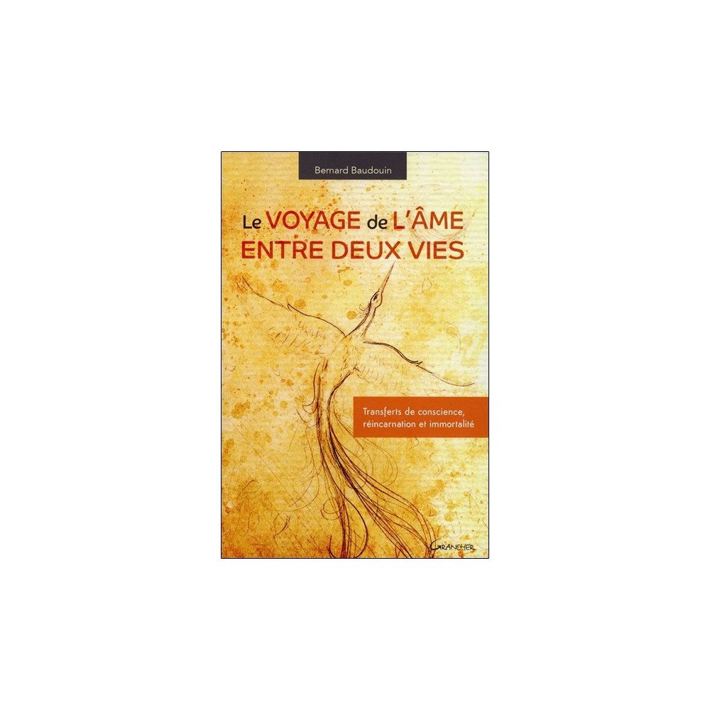 Le voyagede l'âme entre deux vies - Transferts de conscience, réincarn