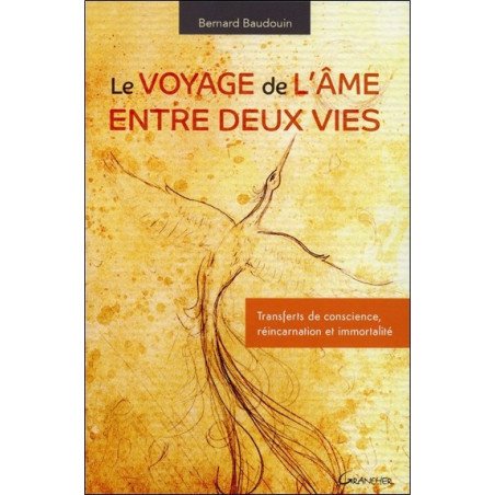 Le voyagede l'âme entre deux vies - Transferts de conscience, réincarn