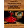 Guide du thérapeute au pays de la transe - Manuel pratique d'hypnose ericksonienne orientée vers les solutions