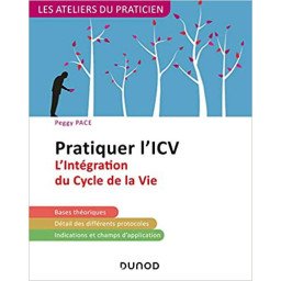 Pratiquer l'ICV - 2e éd. - L'Intégration du Cycle de la Vie