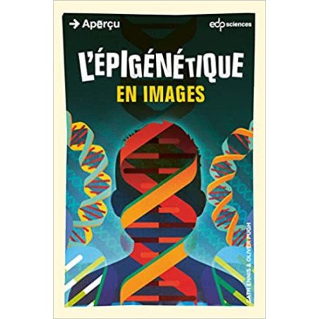 L'épigénétique en images