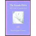 The Female Pelvis - Anatomy - Exercises