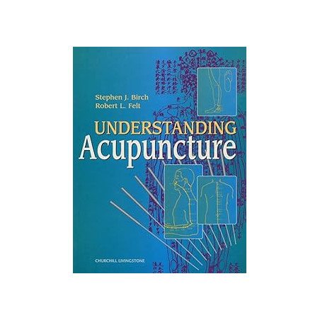 Understanding Acupuncture