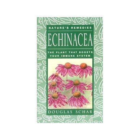 Echinacea: The Plant That Boosts Your Immune System