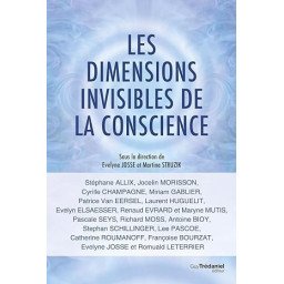 Les dimensions invisibles de la conscience