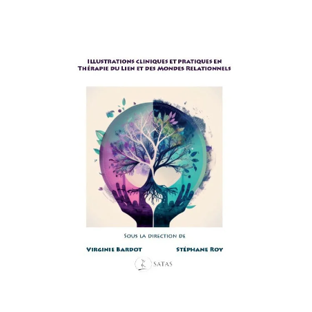ILLUSTRATIONS CLINIQUES ET PRATIQUES EN THÉRAPIE DU LIEN ET DES MONDES RELATIONNELS - Légèrement abîmé