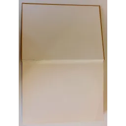 La Pratique de la Médecine Manuelle