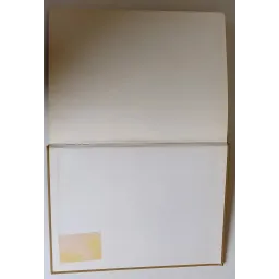 La Pratique de la Médecine Manuelle