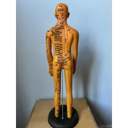 Modèle d'Acupuncture Féminin (nomenclature chinoise)