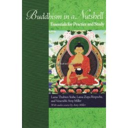 Buddhism in a nutshell - Essentials for practice and study