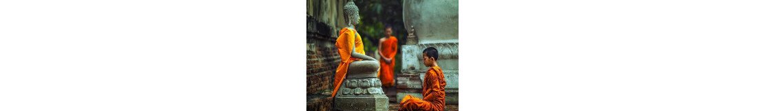 Bouddhisme - Mudras
